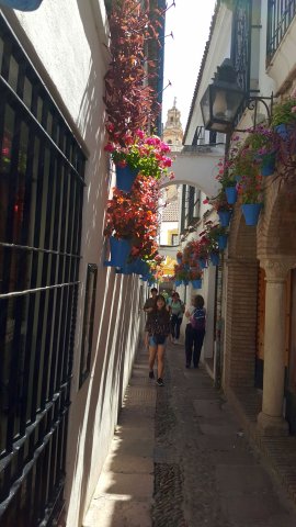 778 cordoba bario de la juderia